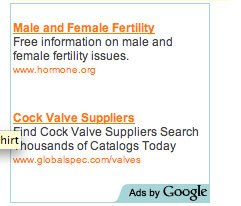Interesting Google ads showing up on my blog at the moment