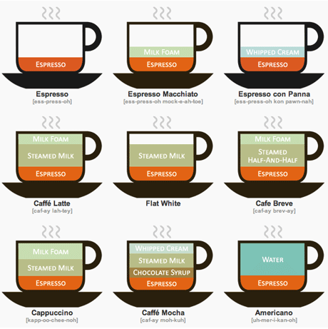 Coffee Drinks Illustrated infographic